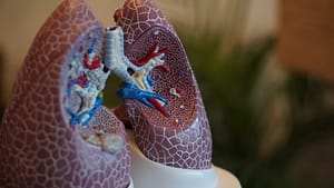 lungs & medical massage