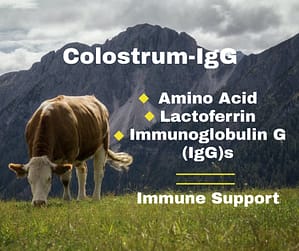 Colostrum-IgG Immune