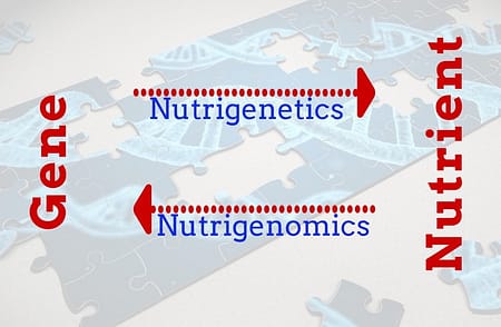 nutrigenetics